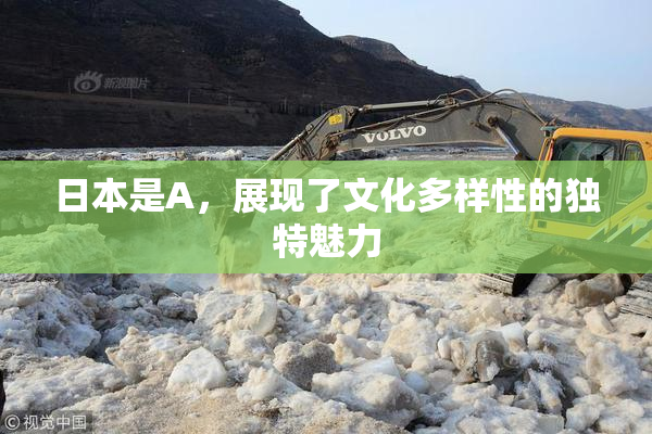日本是A，展现了文化多样性的独特魅力