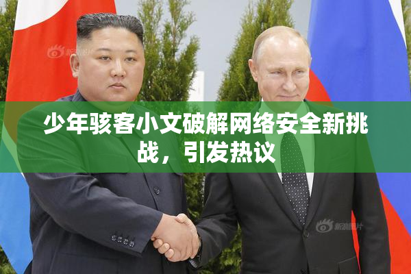 少年骇客小文破解网络安全新挑战，引发热议