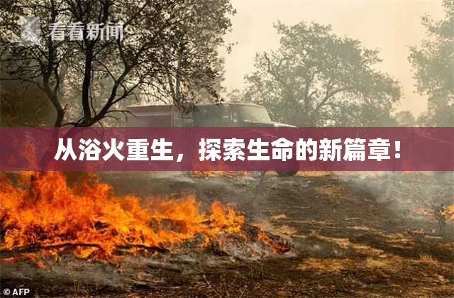 从浴火重生，探索生命的新篇章！
