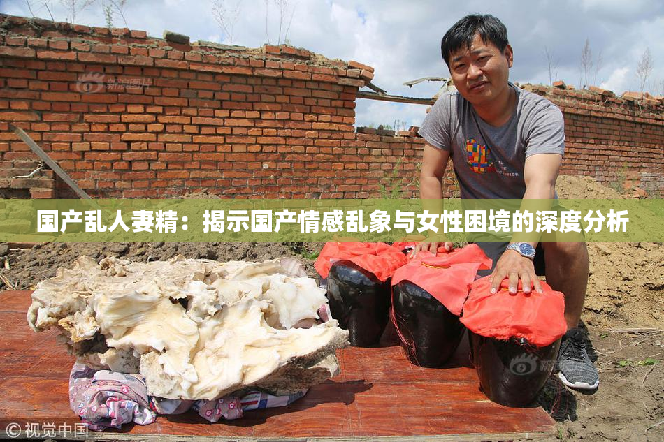 国产乱人妻精：揭示国产情感乱象与女性困境的深度分析