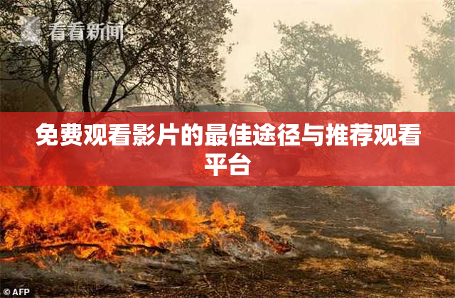 免费观看影片的最佳途径与推荐观看平台