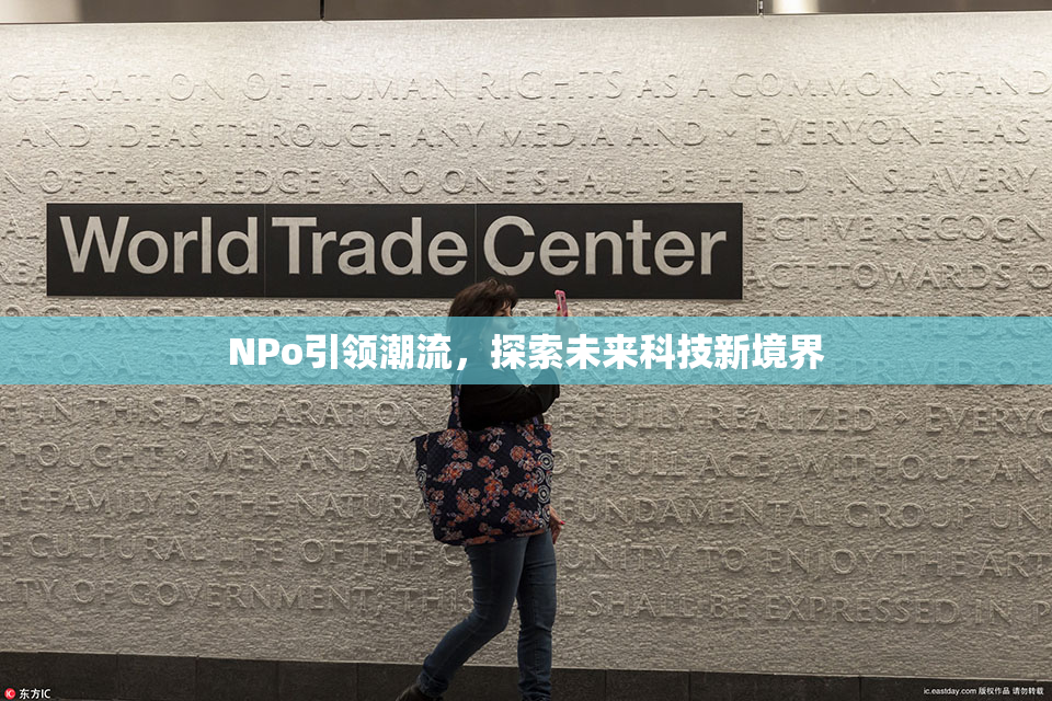 ΝPo引领潮流，探索未来科技新境界