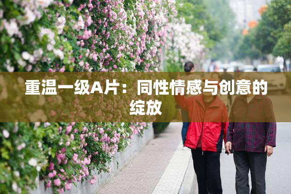 重温一级A片：同性情感与创意的绽放