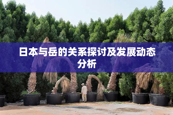 日本与岳的关系探讨及发展动态分析