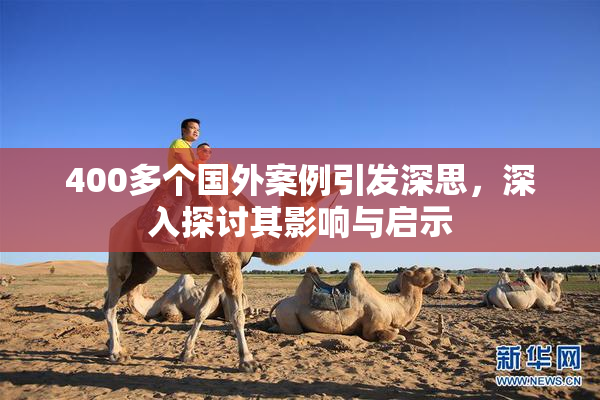 400多个国外案例引发深思，深入探讨其影响与启示