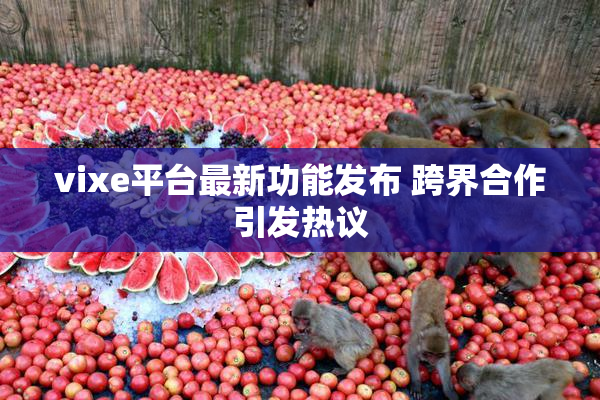 vixe平台最新功能发布 跨界合作引发热议