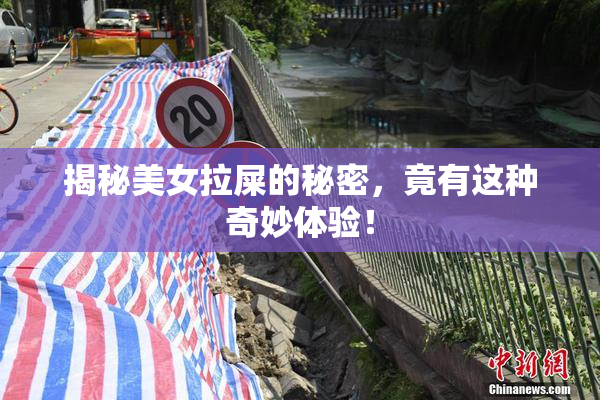 揭秘美女拉屎的秘密，竟有这种奇妙体验！