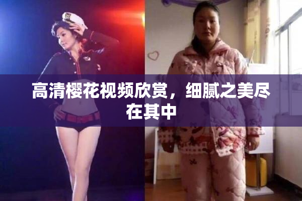 高清樱花视频欣赏，细腻之美尽在其中
