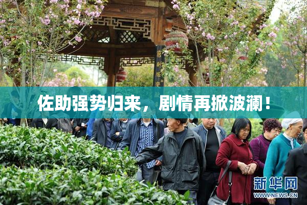 佐助强势归来，剧情再掀波澜！