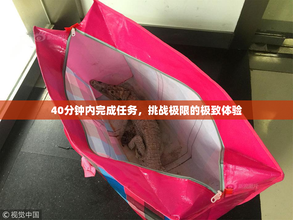 40分钟内完成任务，挑战极限的极致体验