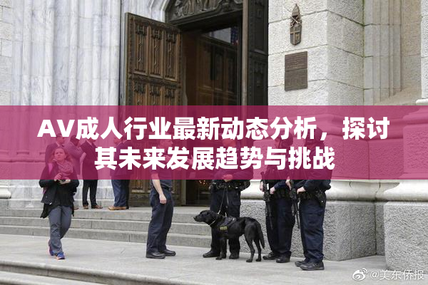 AV成人行业最新动态分析，探讨其未来发展趋势与挑战