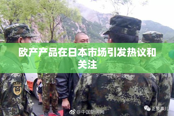 欧产产品在日本市场引发热议和关注