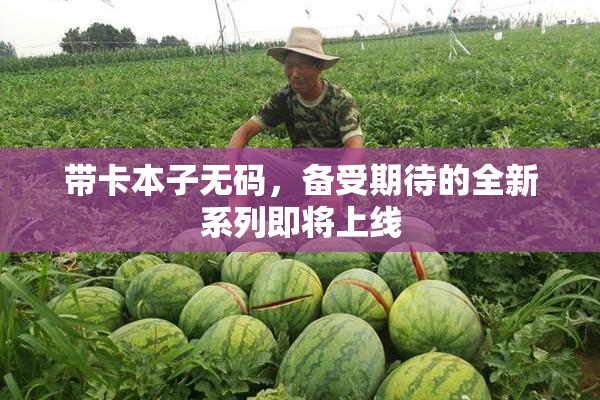 带卡本子无码，备受期待的全新系列即将上线