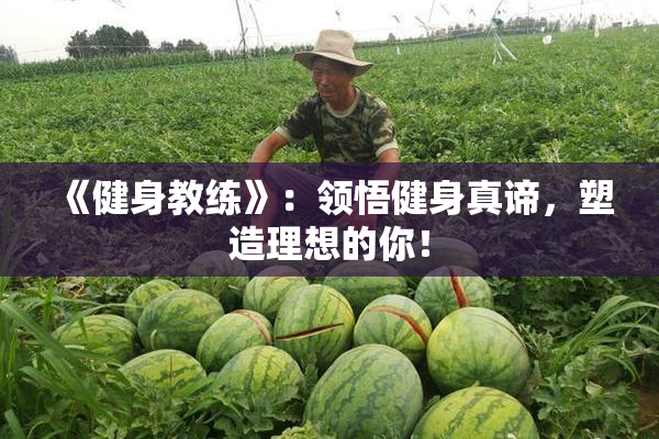 《健身教练》：领悟健身真谛，塑造理想的你！