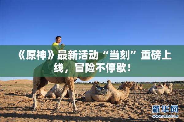 《原神》最新活动“当刻”重磅上线，冒险不停歇！