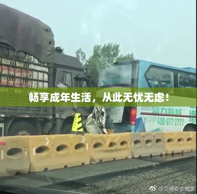 畅享成年生活，从此无忧无虑！