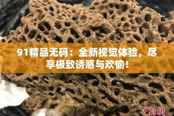 91精品无码：全新视觉体验，尽享极致诱惑与欢愉！