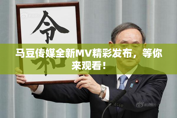 马豆传媒全新MV精彩发布，等你来观看！