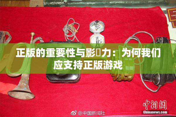 正版的重要性与影響力：为何我们应支持正版游戏