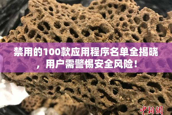 禁用的100款应用程序名单全揭晓，用户需警惕安全风险！