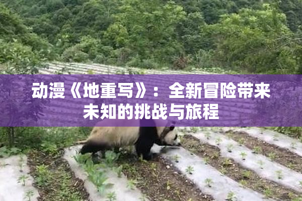 动漫《地重写》：全新冒险带来未知的挑战与旅程