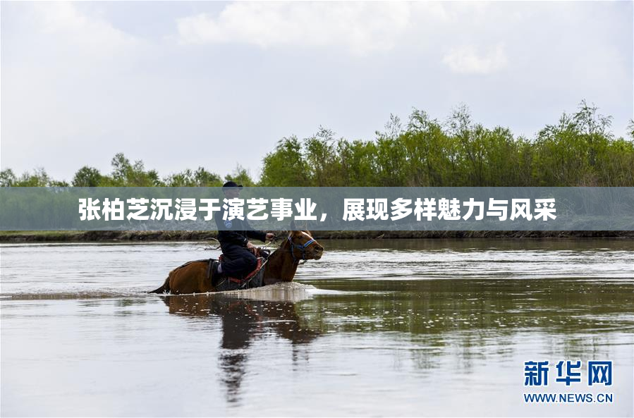 张柏芝沉浸于演艺事业，展现多样魅力与风采