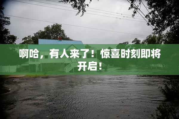 啊哈，有人来了！惊喜时刻即将开启！
