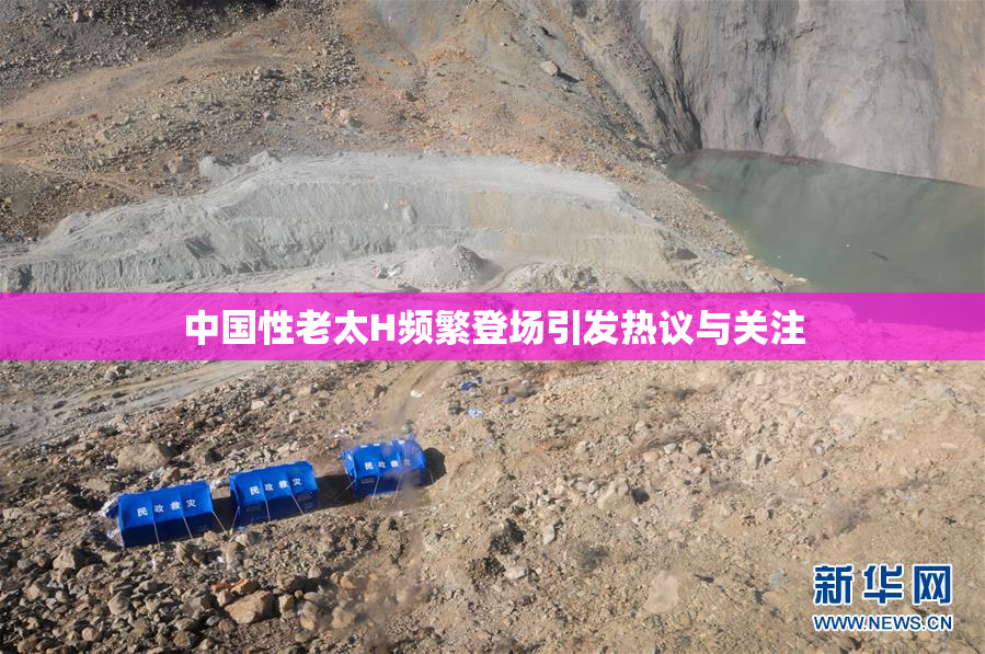 中国性老太H频繁登场引发热议与关注