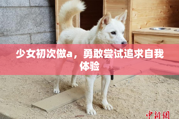 少女初次做a，勇敢尝试追求自我体验