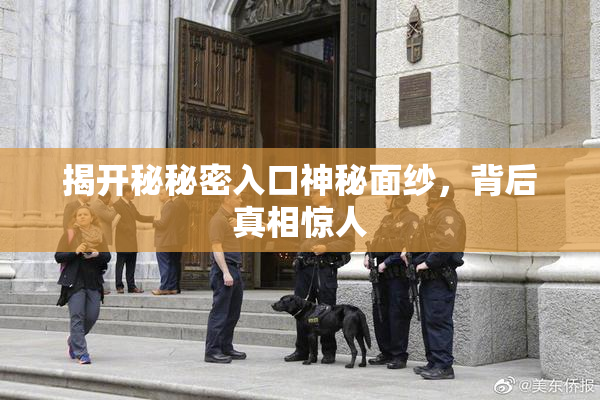 揭开秘秘密入口神秘面纱，背后真相惊人