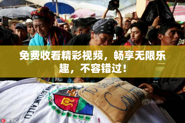 免费收看精彩视频，畅享无限乐趣，不容错过！