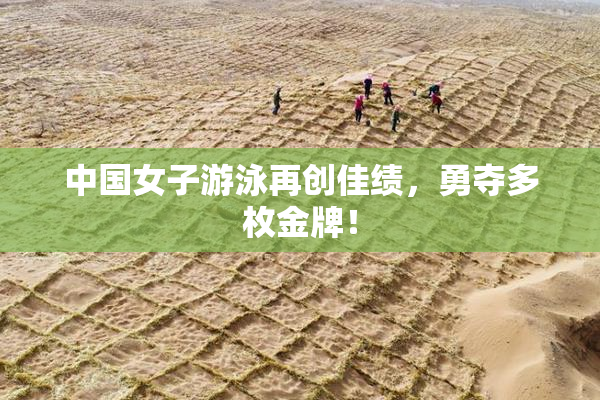 中国女子游泳再创佳绩，勇夺多枚金牌！