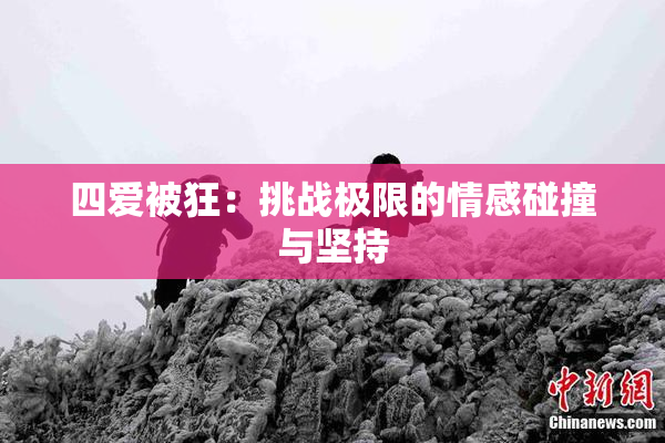 四爱被狂：挑战极限的情感碰撞与坚持