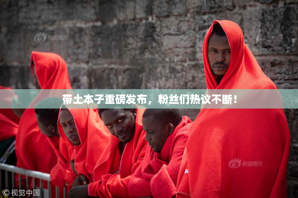 带土本子重磅发布，粉丝们热议不断！