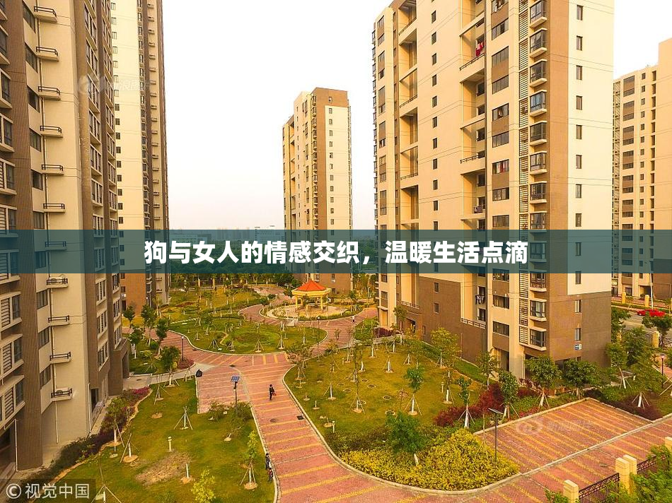 狗与女人的情感交织，温暖生活点滴