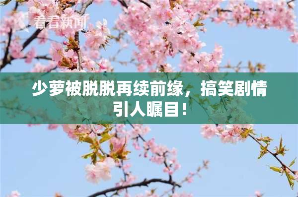 少萝被脱脱再续前缘，搞笑剧情引人瞩目！