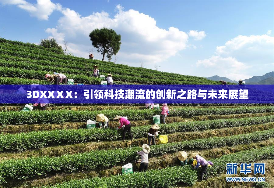 3DXXⅩX：引领科技潮流的创新之路与未来展望