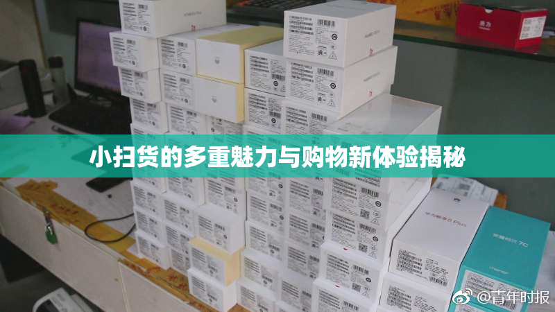 小扫货的多重魅力与购物新体验揭秘