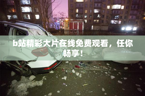 b站精彩大片在线免费观看，任你畅享！