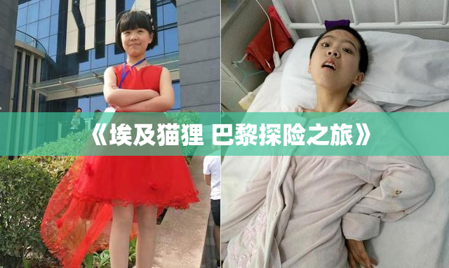 《埃及猫狸 巴黎探险之旅》