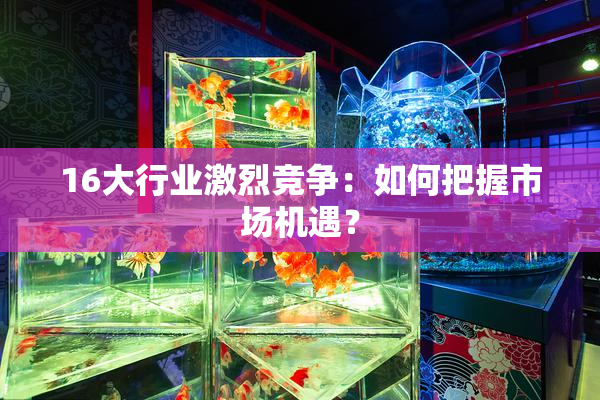 16大行业激烈竞争：如何把握市场机遇？