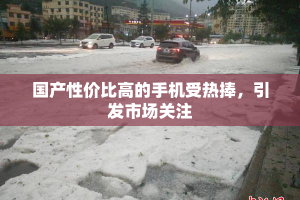 国产性价比高的手机受热捧，引发市场关注