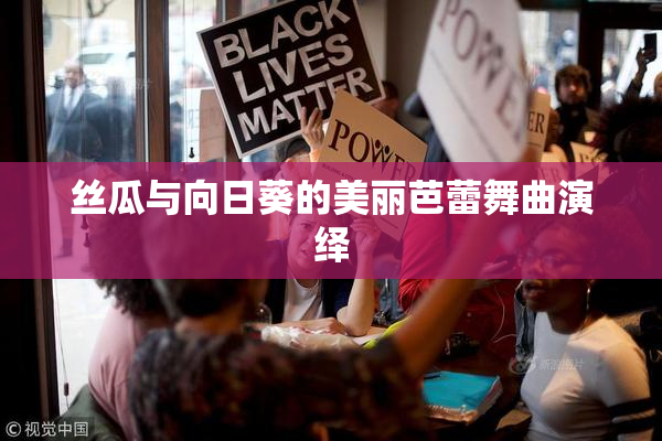 丝瓜与向日葵的美丽芭蕾舞曲演绎
