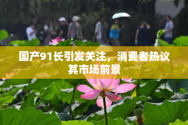 国产91长引发关注，消费者热议其市场前景