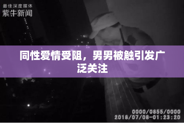 同性爱情受阻，男男被触引发广泛关注