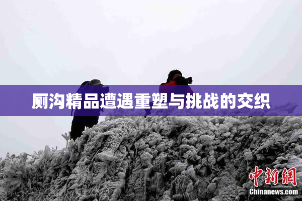 厕沟精品遭遇重塑与挑战的交织