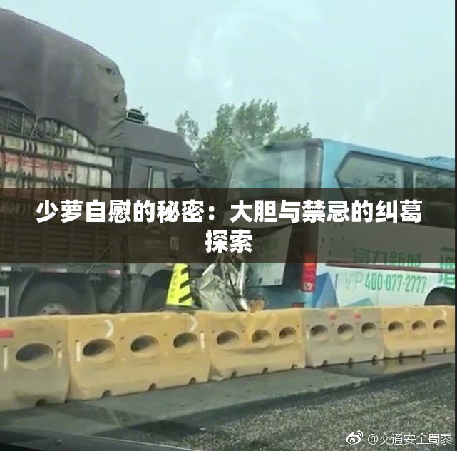 少萝自慰的秘密：大胆与禁忌的纠葛探索