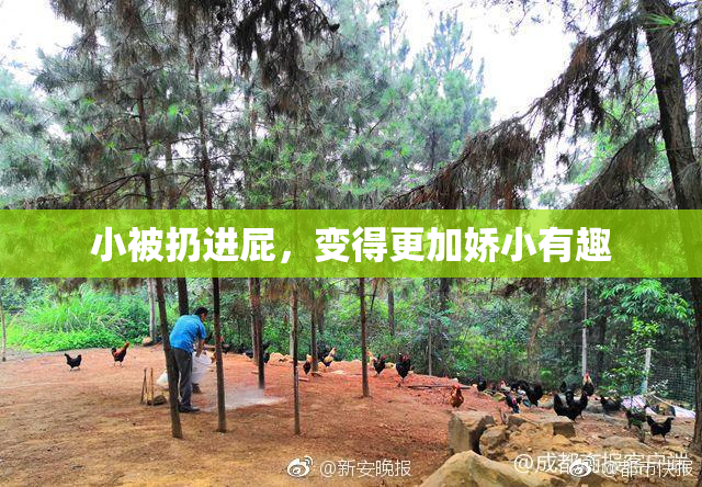 小被扔进屁，变得更加娇小有趣