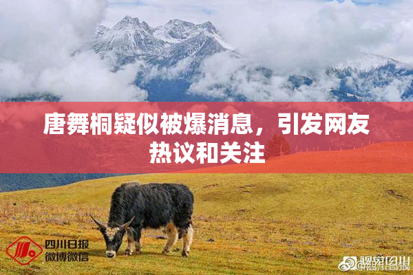 唐舞桐疑似被爆消息，引发网友热议和关注