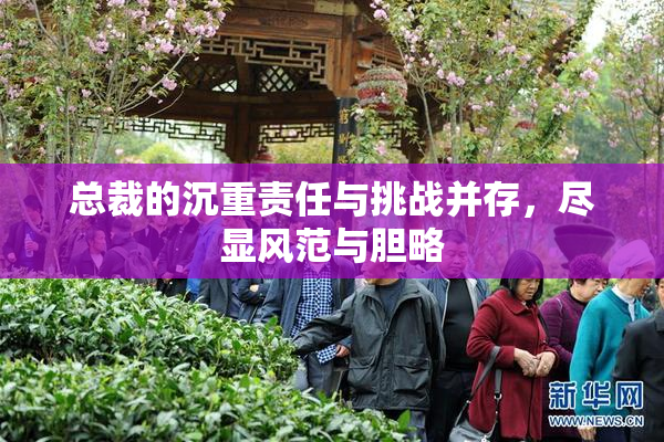 总裁的沉重责任与挑战并存，尽显风范与胆略